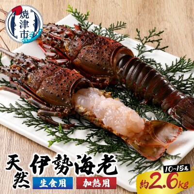 伊勢海老 三昧 セット C 2 6kg 刺身用 焼物用 B10 035 お礼品詳細 ふるさと納税なら さとふる