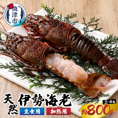 伊勢海老 三昧セットA 刺身用+焼物用(a40-075)