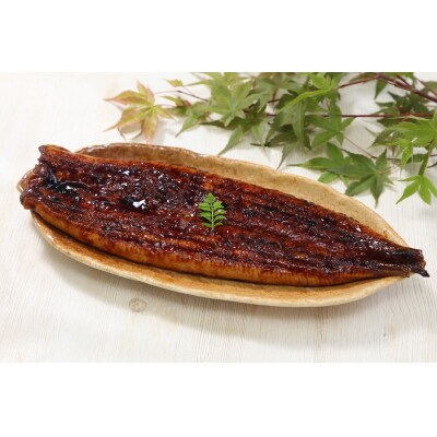 年6回隔月お届け!国産深蒸し鰻蒲焼200g以上×4尾(b200-024)