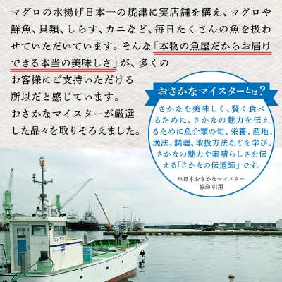 焼津 天然 南 まぐろ中トロ 付き セット 2(a30-172)