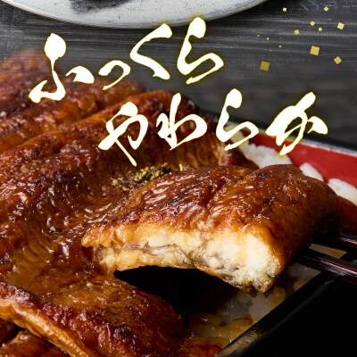 静岡産うなぎ「静岡ご鰻悦」4人前詰合せ(a30-162)