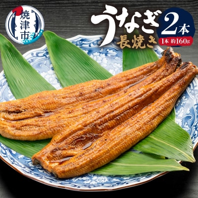 カネト平田 うなぎ長焼き2本セット約160g×2(a15-034)
