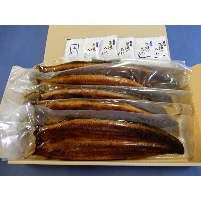 鰻の長蒲焼き5尾詰合せ(a50-085)