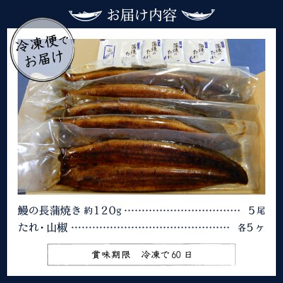 鰻の長蒲焼き5尾詰合せ(a50-085)