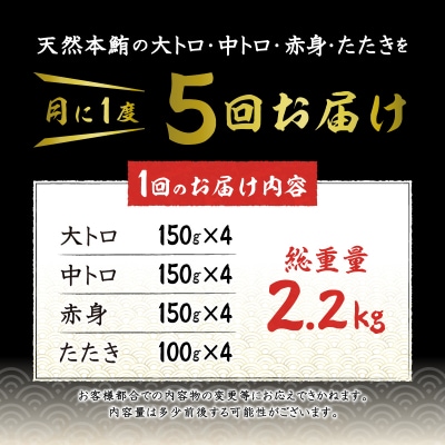 【定期便5回】天然本鮪 一本分を加工してお届け(b500-011)