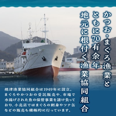 焼津ミナミマグロスキンレスセット(a31-011)