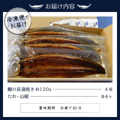 鰻の長蒲焼き4尾詰合せ(a39-002)