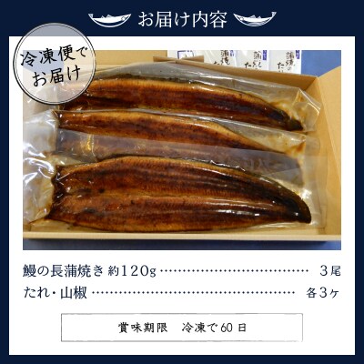 鰻 の 長蒲焼き 3尾 詰合せ(a29-002)