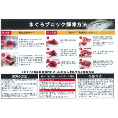 【定期便 3回】南鮪・大トロ・中トロセット(計1kg)(b100-039)