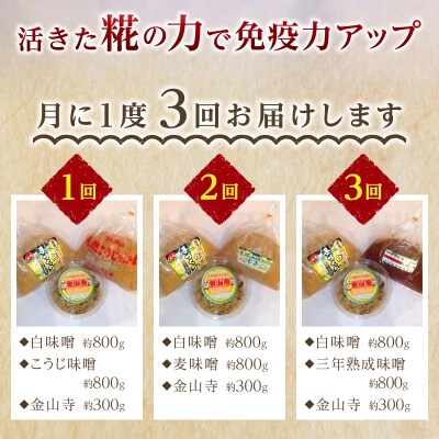 【定期便 3回】 味噌 食べ比べ + 金山寺セット(a29-011)