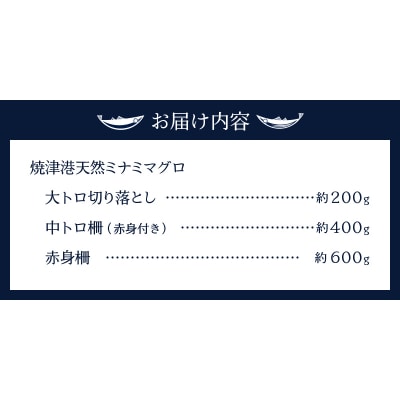 マグロ 天然 南鮪 大トロ中トロ 赤身 セット 1.2kg(a35-009)