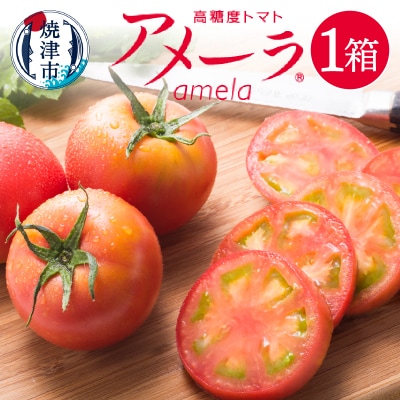 A[ g}g x g}g Yn  ϔ(a10-371)