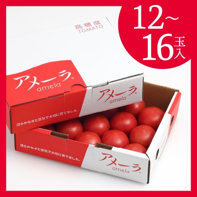 2026年1月より順次発送 アメーラ トマト 高糖度 トマト 産地 直送 化粧箱入(a10-371)