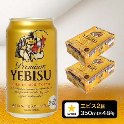 エビス350ml×2箱【48本】【焼津サッポロビール発】(a34-019)