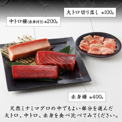 マグロ 天然 南鮪 大トロ中トロ 赤身 セット 700g(a20-293)