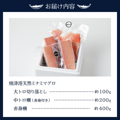 マグロ 天然 南鮪 大トロ中トロ 赤身 セット 700g(a20-293)