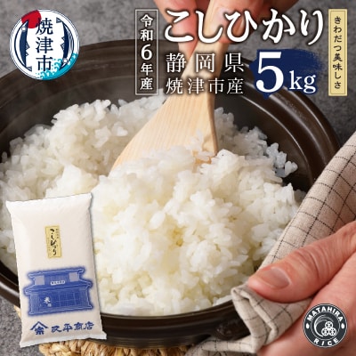 令和6年産　白米 5kg コシヒカリ(a19-055)