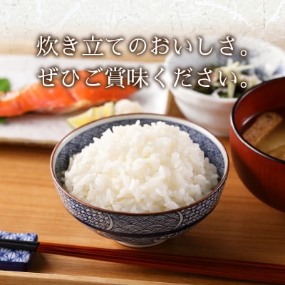令和7年産 別格 こしひかり 白米 5kg(a07-176)
