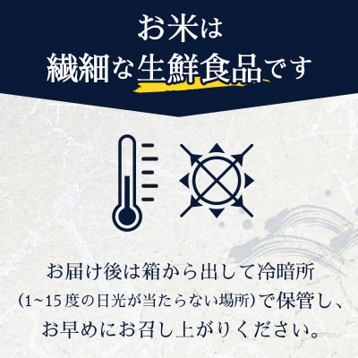 令和7年産 別格 こしひかり 白米 5kg(a10-1337)