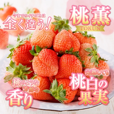 いちご「桃薫 きらぴ香」食べ比べ セット 計4パック(a10-587)
