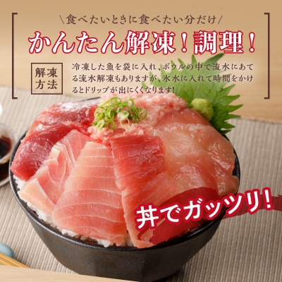 焼津 天然 南 鮪 まぐろ マグロ 7点 セット(a10-589)