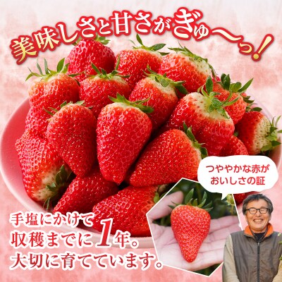 いちご 静岡 限定 「 きらぴ香 」計約2.2Kg 8パック(a20-267)