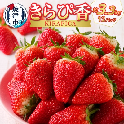 いちご 静岡 限定 「 きらぴ香 」計約3.3Kg 12パック(a30-191)