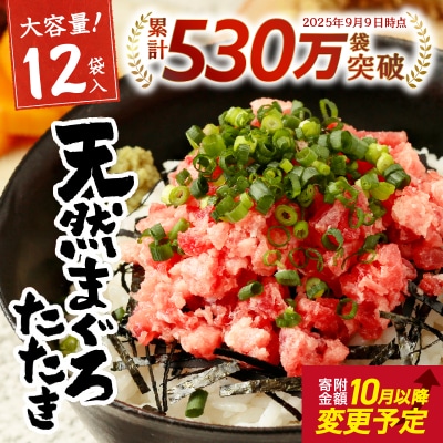 【2025年10月お届け】天然 まぐろ ネギトロ 80g×12パック (a10-598202510)