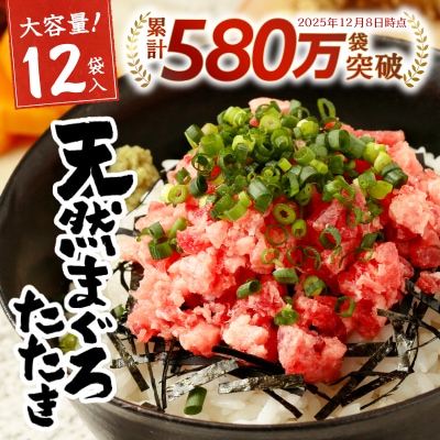 【発送時期要確認】天然 まぐろ ネギトロ 80g×12パック(a10-598)
