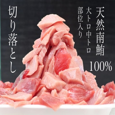 天然 南鮪 100% 切り落とし 大トロ 中トロ含 約400g(a10-604)