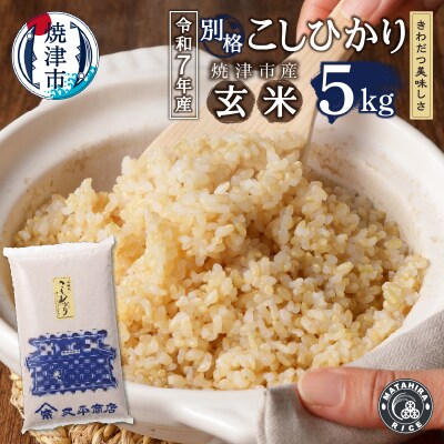 令和7年産 別格 こしひかり 玄米 5kg(a11-210)