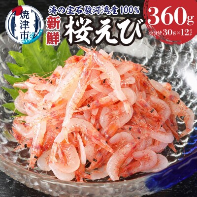 静岡県漁連 お刺身用生桜えび(a10-420) | ふるさと納税のお礼品