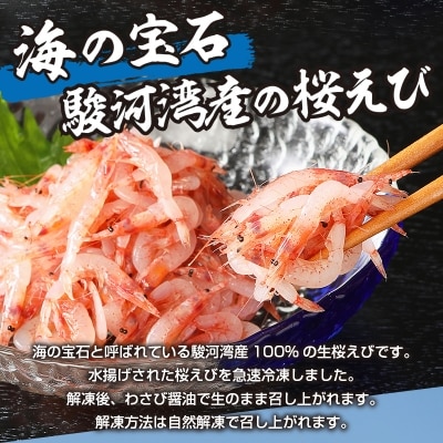 静岡県漁連 お刺身用生桜えび(a10-420)