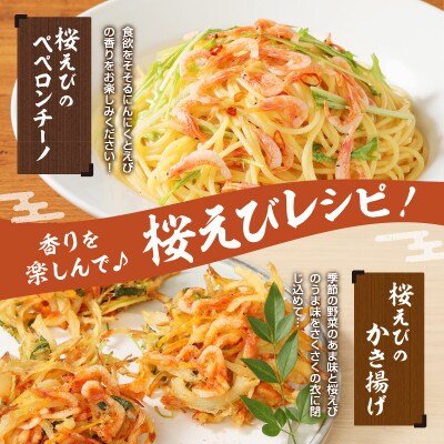 静岡県漁連 お刺身用生桜えび(a10-420)