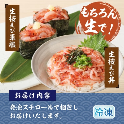 静岡県漁連 お刺身用生桜えび(a12-327)