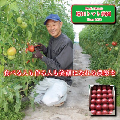トマト 詰合せ 約4Kg　農園 直送 新鮮 農家(a10-498) | ふるさと納税のお礼品
