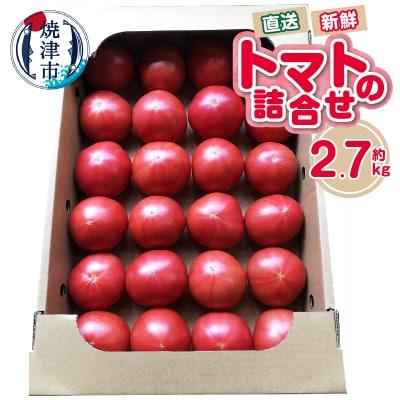 トマト　詰合せ　約2.7kg　農園　直送　新鮮　農家(a11-120)