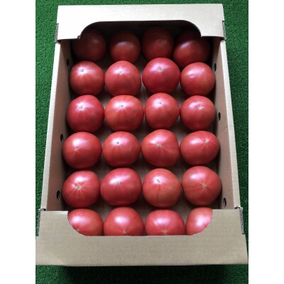 トマト 詰合せ 約2.7kg 農園 直送 新鮮 農家(a11-120)