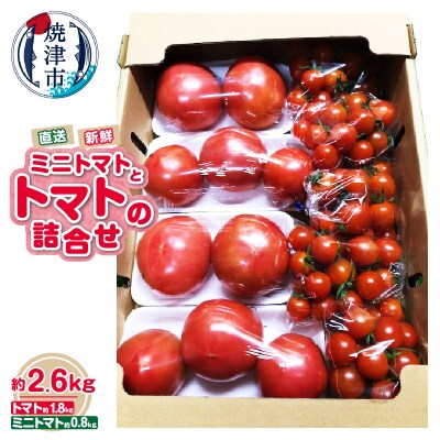 トマト ミニトマト 詰合せ 約2.6kg 直送 セット(a11-121)