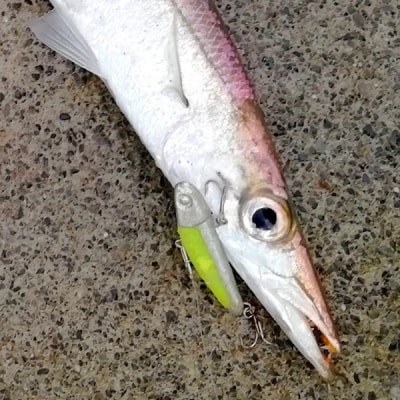 ライトソルト ルアー 「ぶるぶる50」 4個 セット(a21-012)