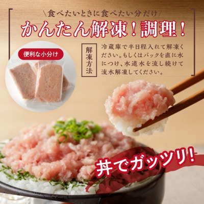 天然ネギトロ(80g×12袋)(a10-635)