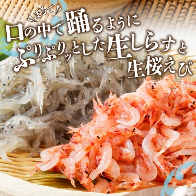 【定期便 3回】 焼津産生しらす(100g×3) 生桜えび(70g×3個)(a30-221)