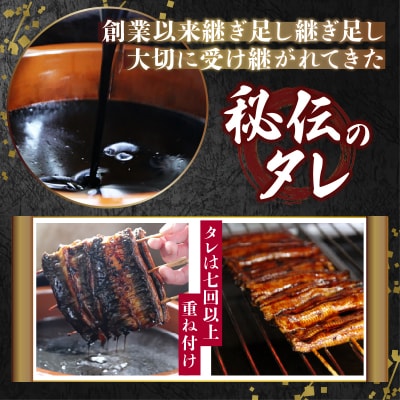 鰻蒲焼真空パック〈3人前〉(1人前 115g～125g)(a29-012)