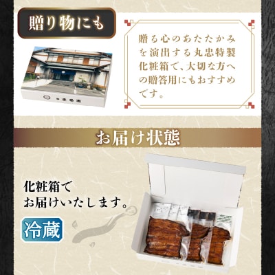 鰻蒲焼真空パック〈3人前〉(1人前 115g～125g)(a29-012)