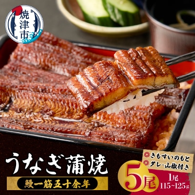 鰻蒲焼真空パック〈5人前〉(1人前 115g～125g)(a48-010)