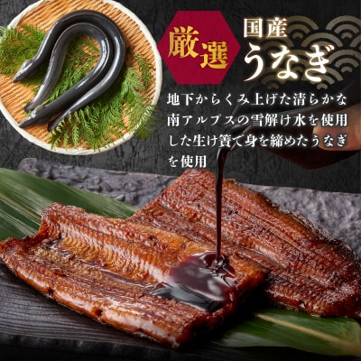 鰻蒲焼真空パック〈5人前〉(1人前 115g～125g)(a48-010)