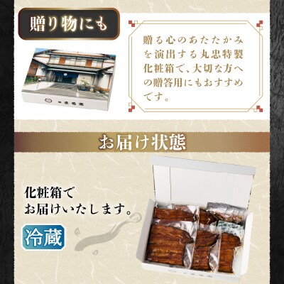 鰻蒲焼真空パック〈5人前〉(1人前 115g～125g)(a48-010)