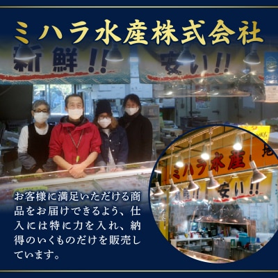 天然まぐろ ネギトロ 焼津まぐろたたき 80g×12パック(a10-637)