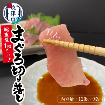 【2025年8月お届け】天然びんちょうまぐろ お刺身パック(a10-649202508)