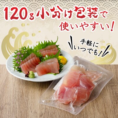 【2025年6月お届け】天然びんちょうまぐろ お刺身パック(a10-649202506)